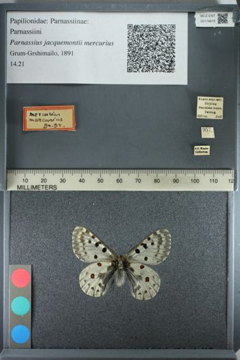 Media type: image;   Entomology 174819